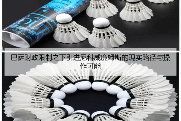 巴萨财政限制之下引进尼科威廉姆斯的现实路径与操作可能