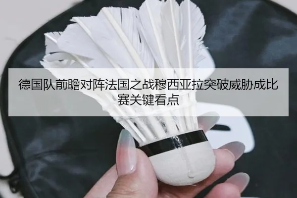 德国队前瞻对阵法国之战穆西亚拉突破威胁成比赛关键看点
