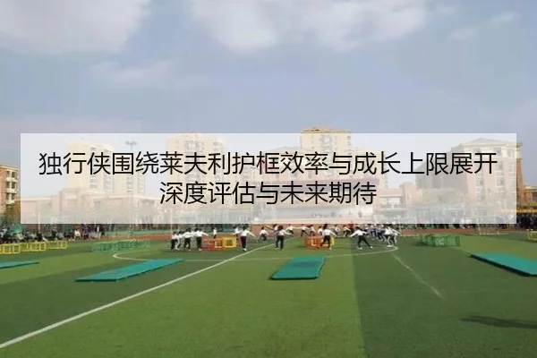 独行侠围绕莱夫利护框效率与成长上限展开深度评估与未来期待